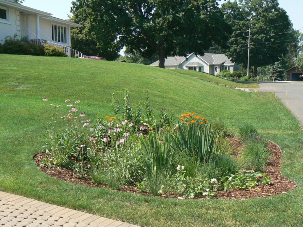 City of Glenwood Raingarden Blitz - Pope Soil & Water